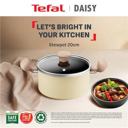 TEFAL DAISY STEWPOT 20CM WITH GLASS LID H0494424