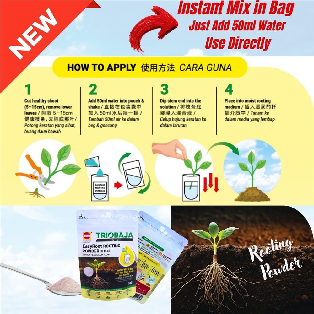 TRIO EASYROOT ROOTING POWDER 10G