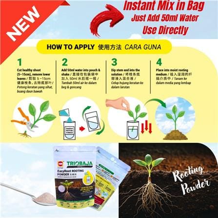 TRIO EASYROOT ROOTING POWDER 10G